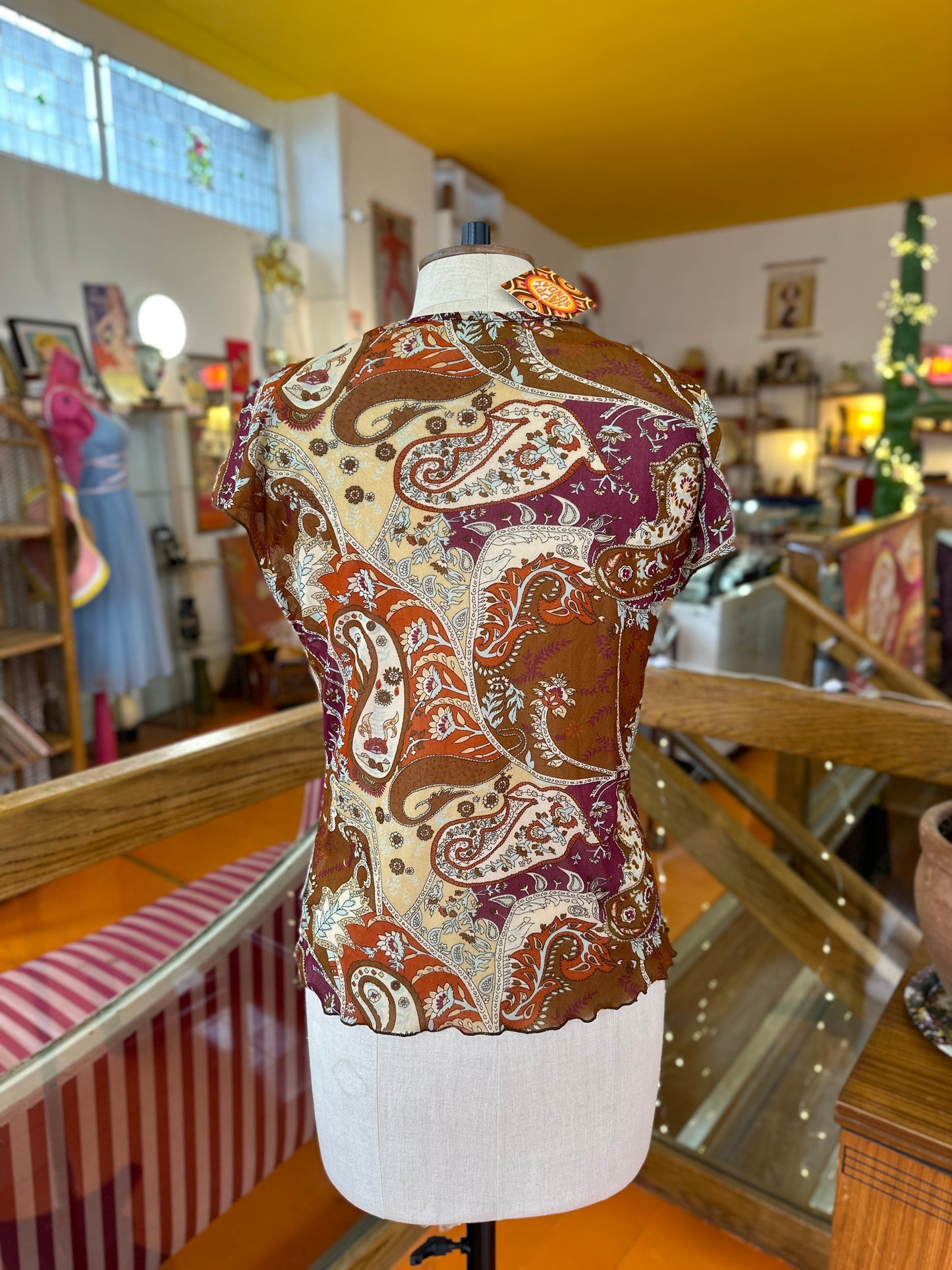 Y2K Sheer Mesh Blouse in Paisley