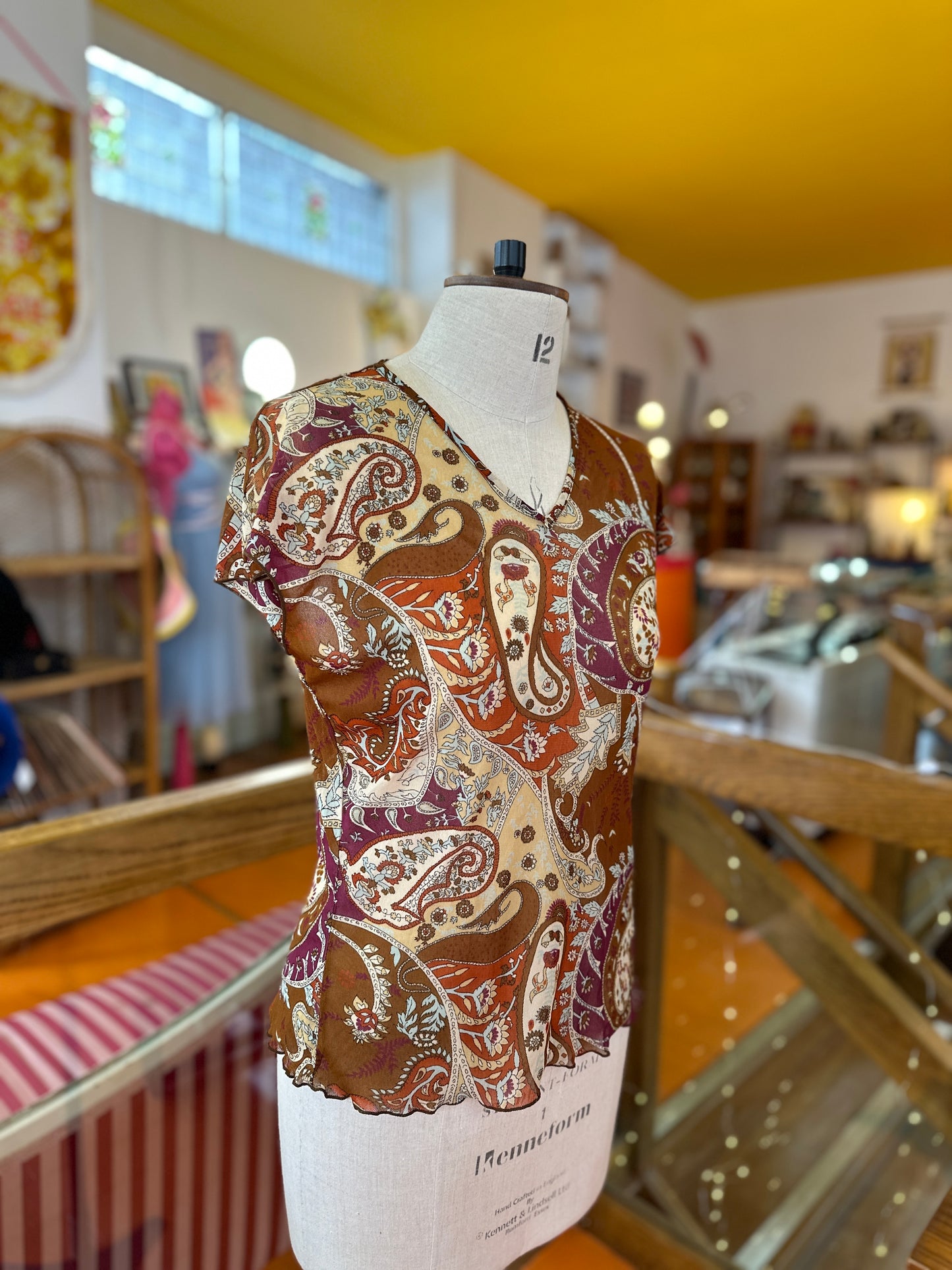 Y2K Sheer Mesh Blouse in Paisley
