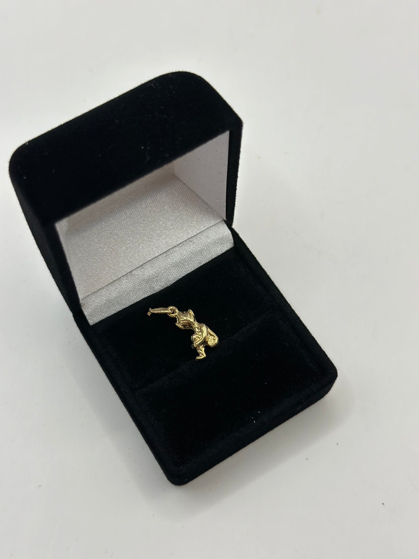9ct Gold Charm Imp