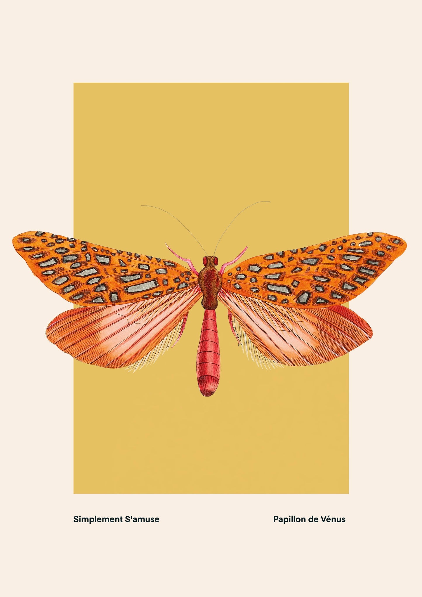 Moth Art Print by Kate Fox Design